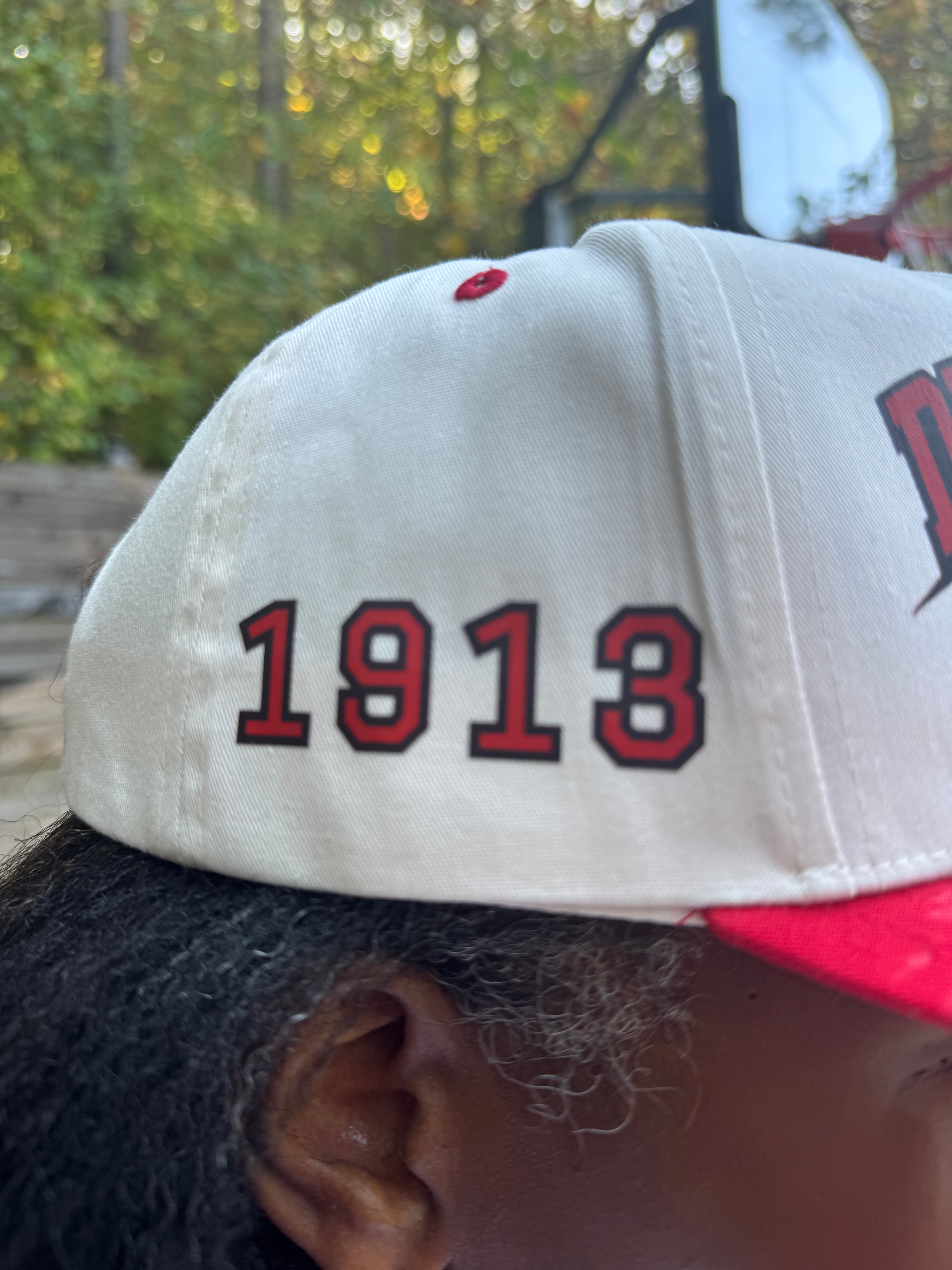 Duck Team 1913 Two Tone Cream Snapback Baseball Hat