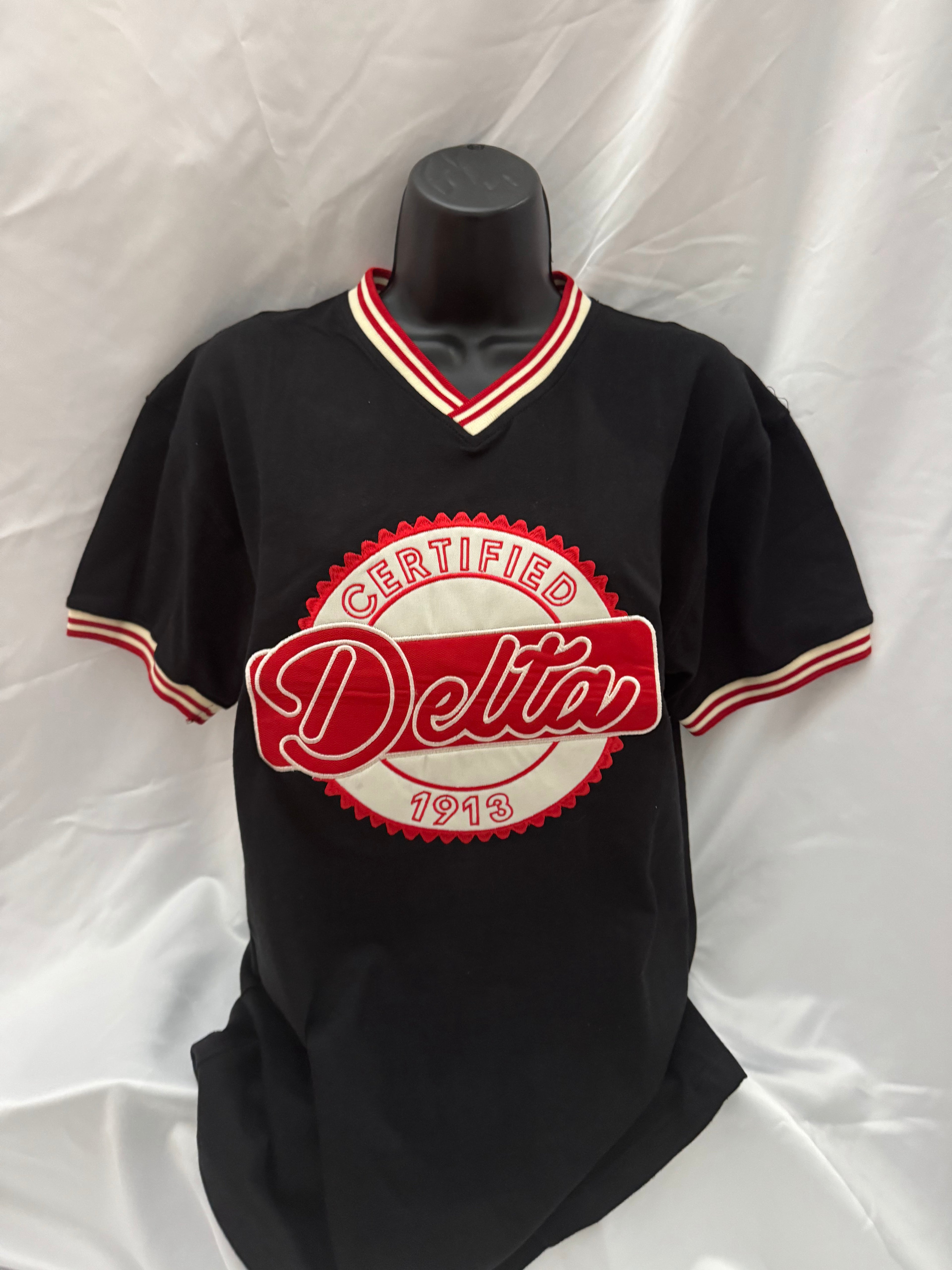 Delta Sigma Theta Certified Delta V-Neck Jersey