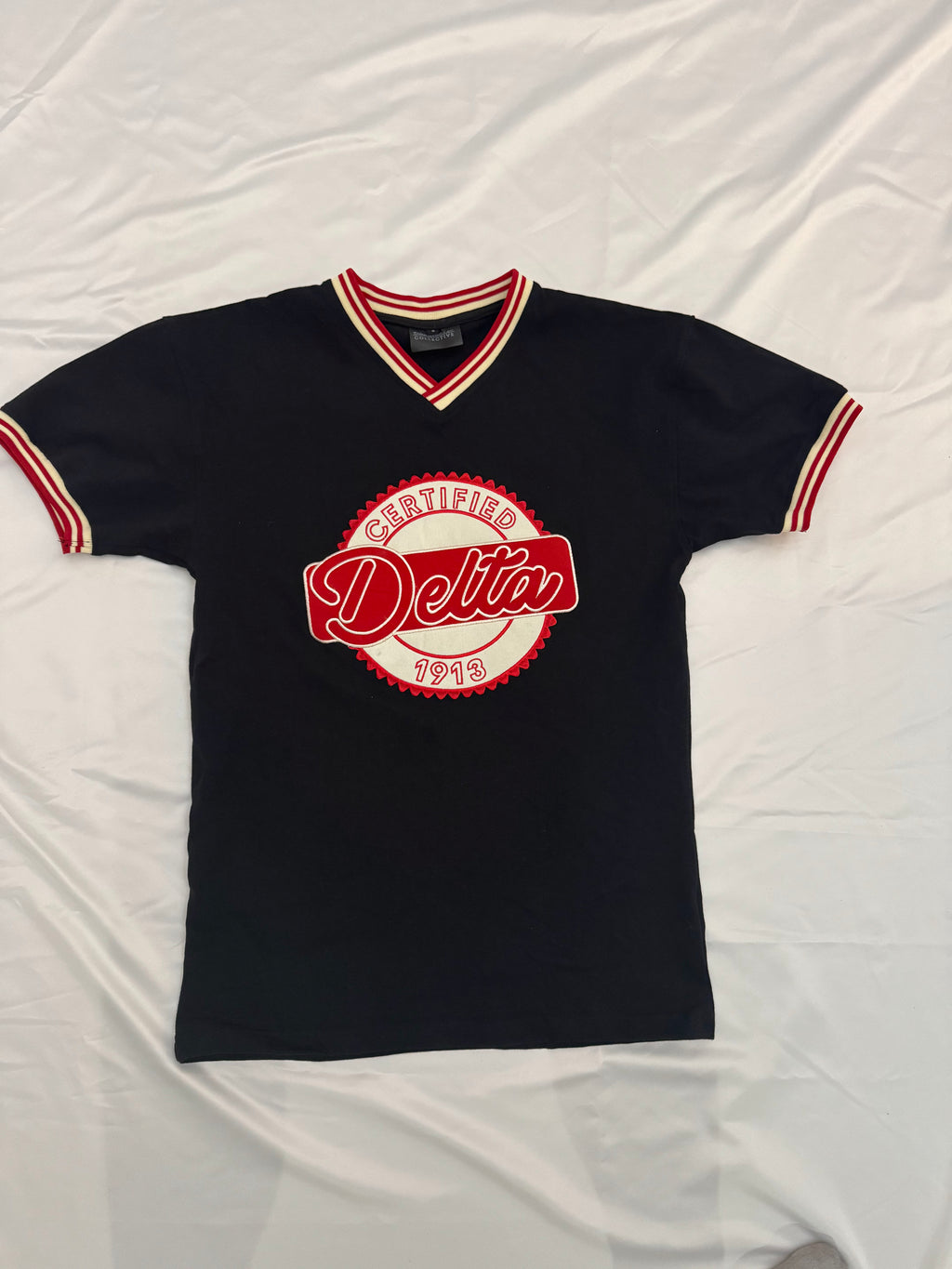 Delta Sigma Theta Certified Delta V-Neck Jersey