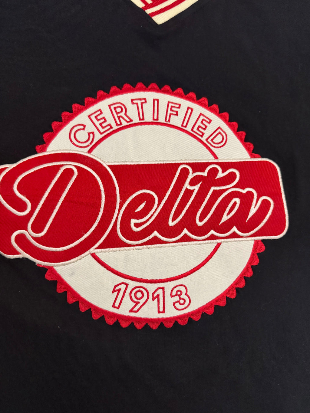 Delta Sigma Theta Certified Delta V-Neck Jersey